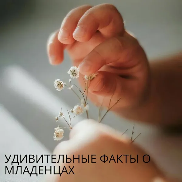Удивительные факты о новорожденных: кости, улыбка и почему мы их обожаем