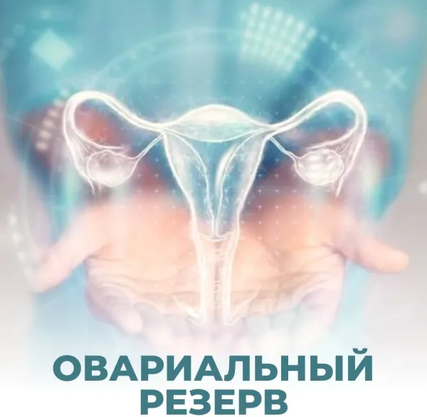 Овариальный резерв: ключ к пониманию вашей репродуктивной способности